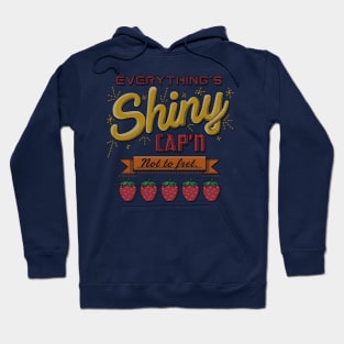 Everything's Shiny Embroidery Hoodie